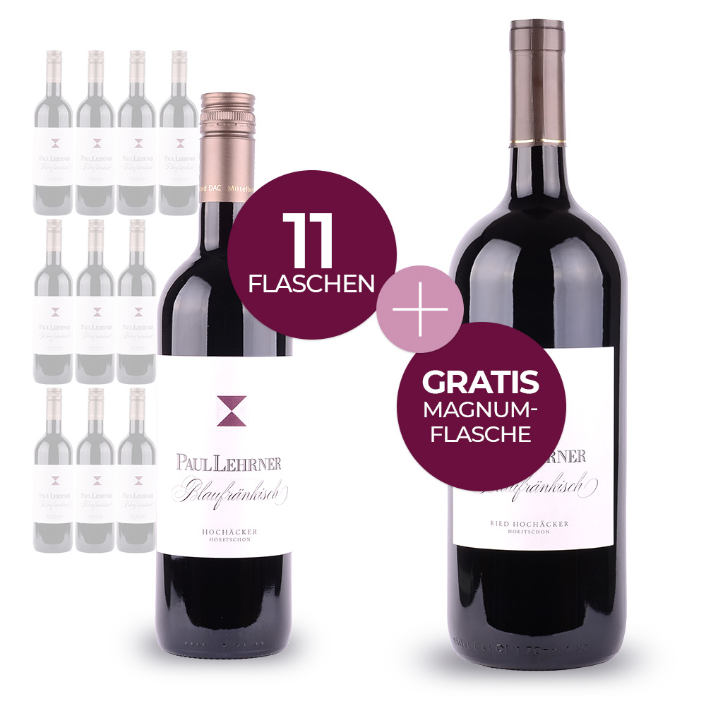 Aktion: Blaufränkisch Ried Hochäcker 2019 11 + 1 Magnumflasche (2017) Gratis!